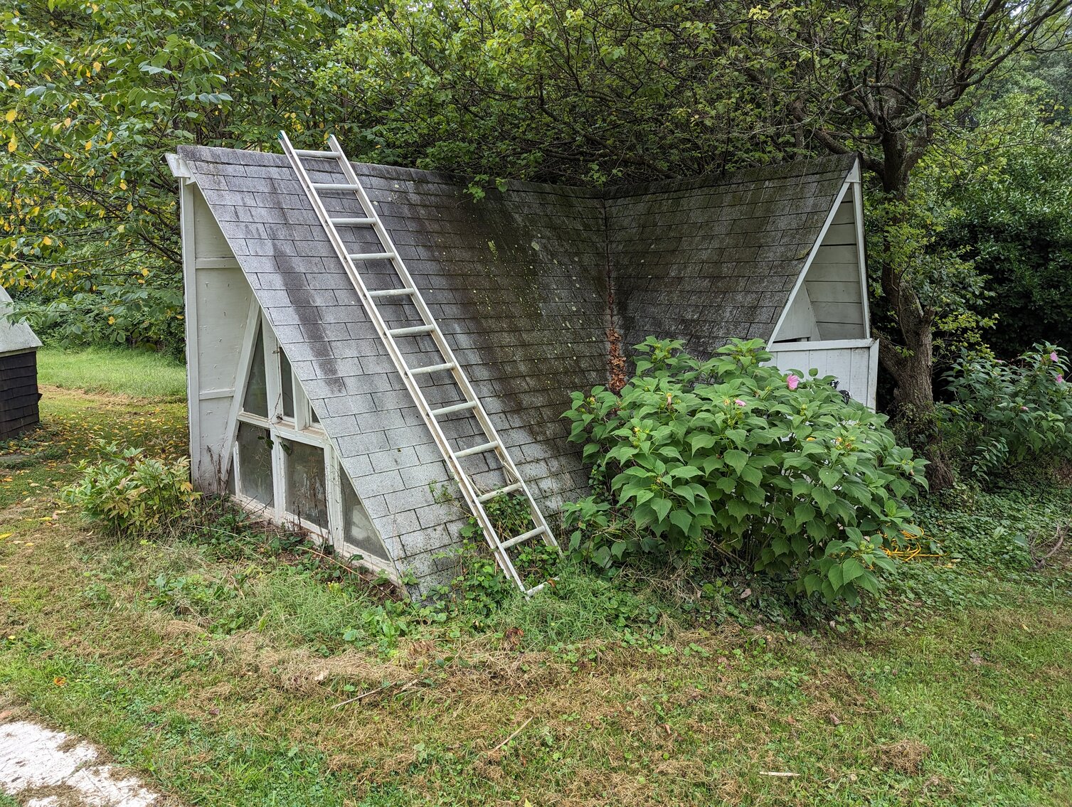 Image for 3 BR, 2 BA CUSTOM HOME ON 0.95+/- ACRES