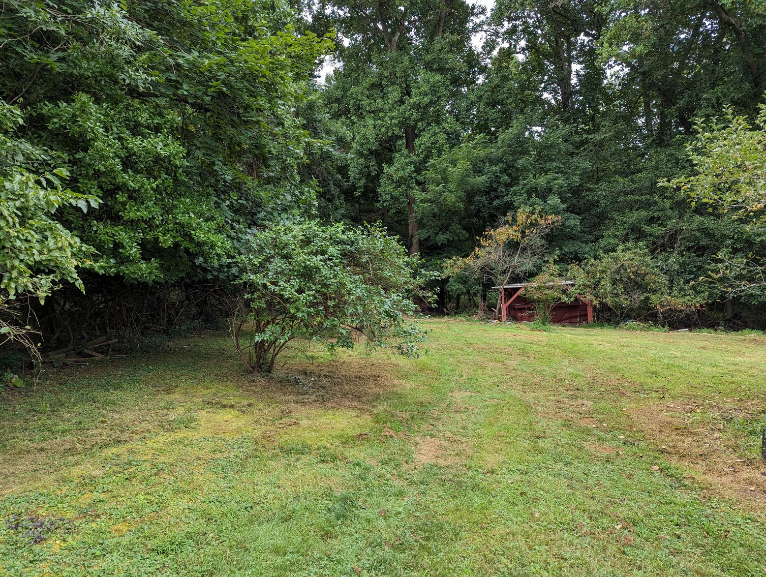 Image for 3 BR, 2 BA CUSTOM HOME ON 0.95+/- ACRES