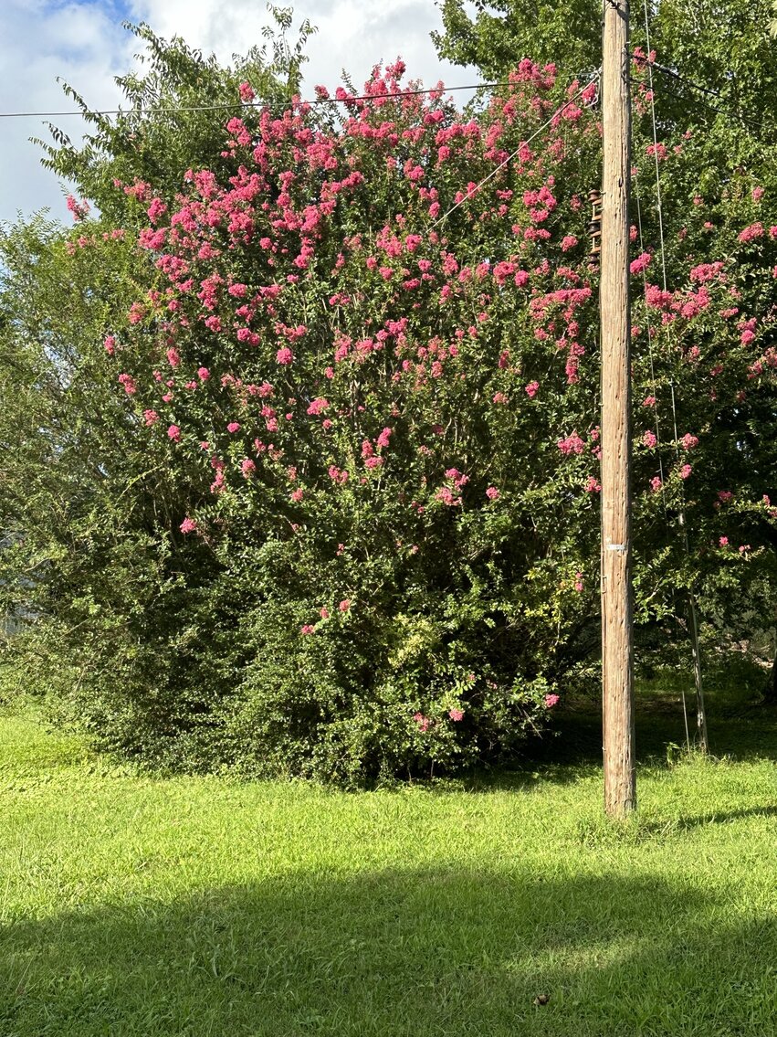 Image for 5018 Wilson Pike, Arrington