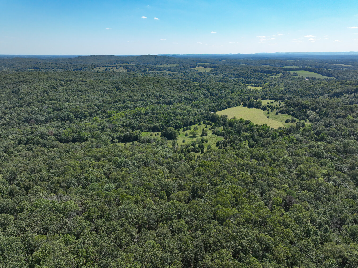 Image for Uhlmann Land Auction