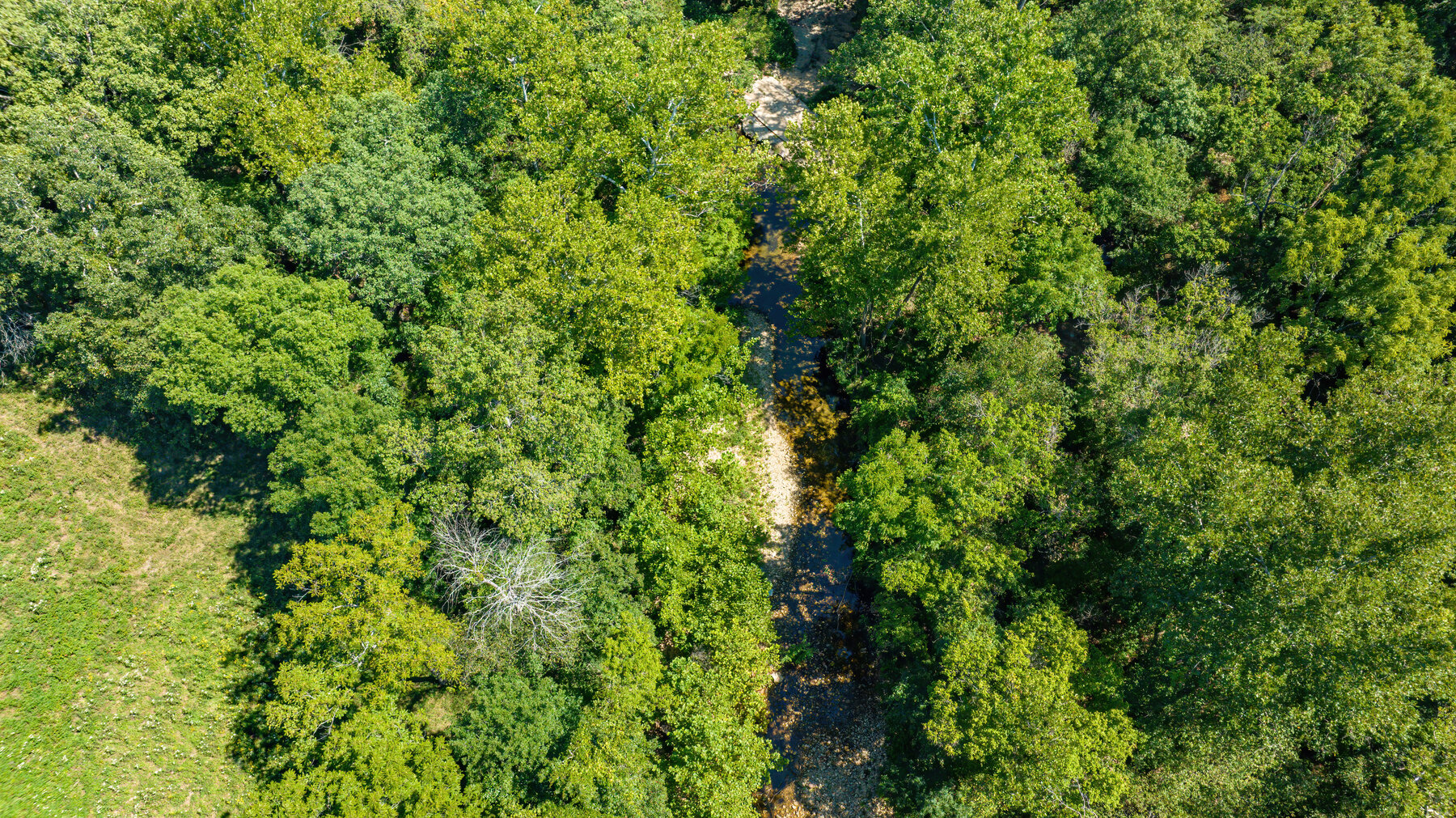 Image for Uhlmann Land Auction