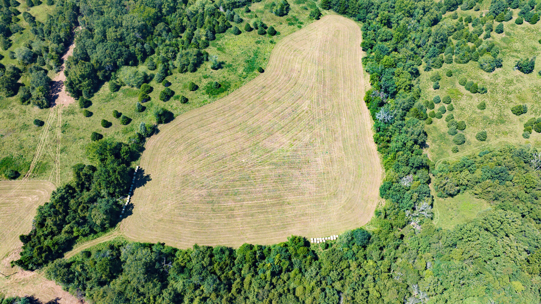 Image for Uhlmann Land Auction