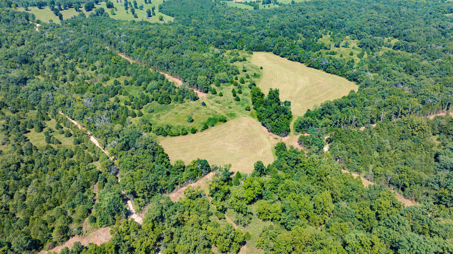 Image for Uhlmann Land Auction