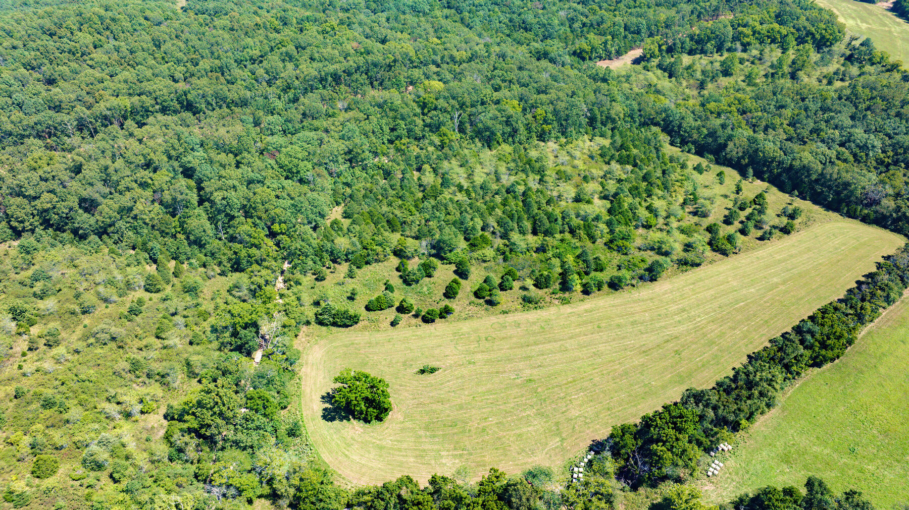 Image for Uhlmann Land Auction