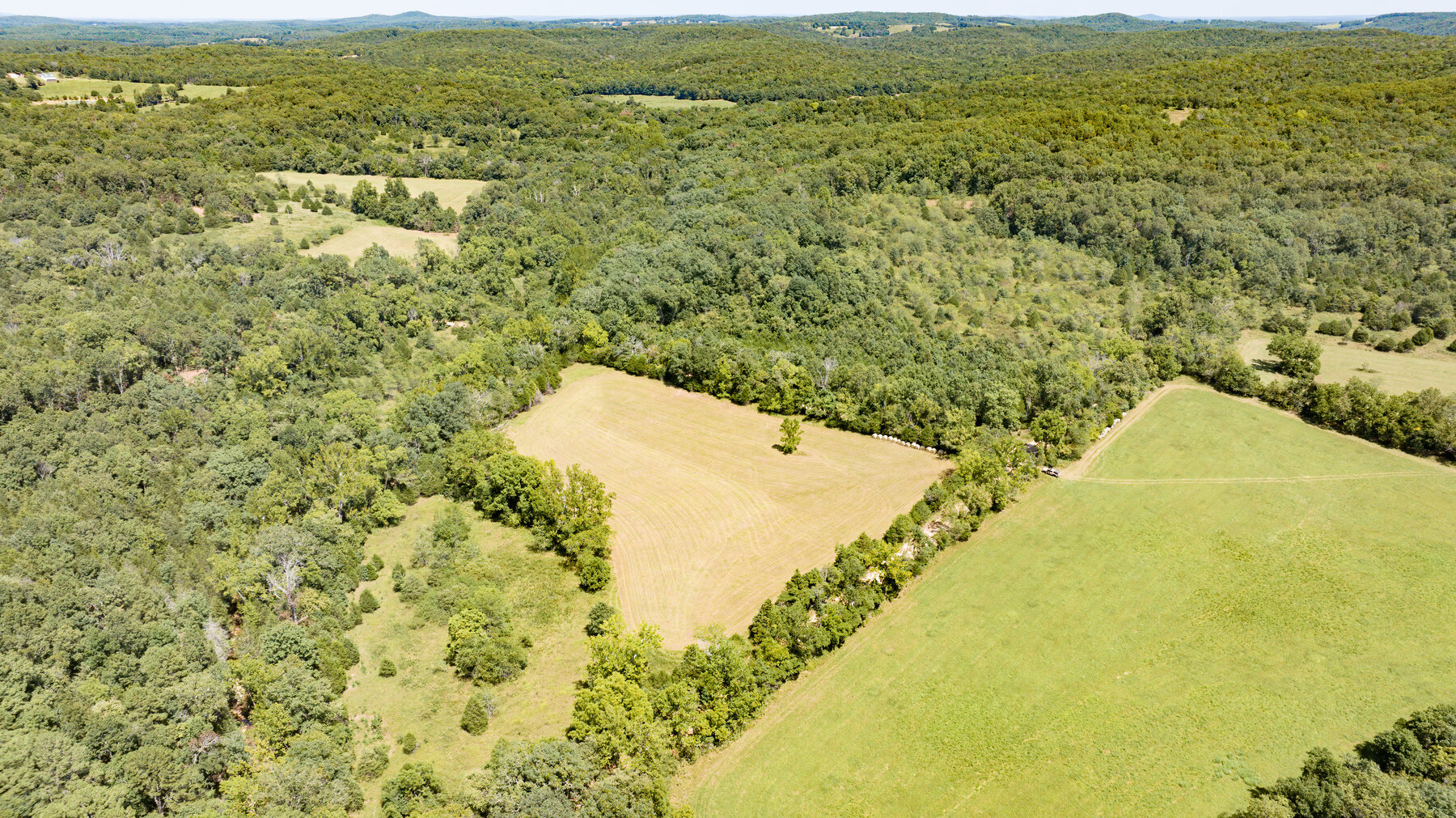 Image for Uhlmann Land Auction