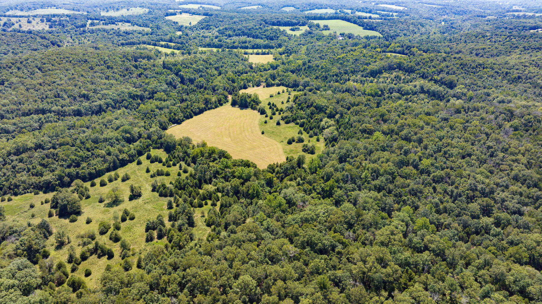 Image for Uhlmann Land Auction