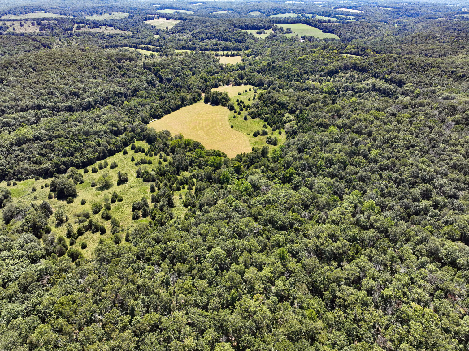 Image for Uhlmann Land Auction