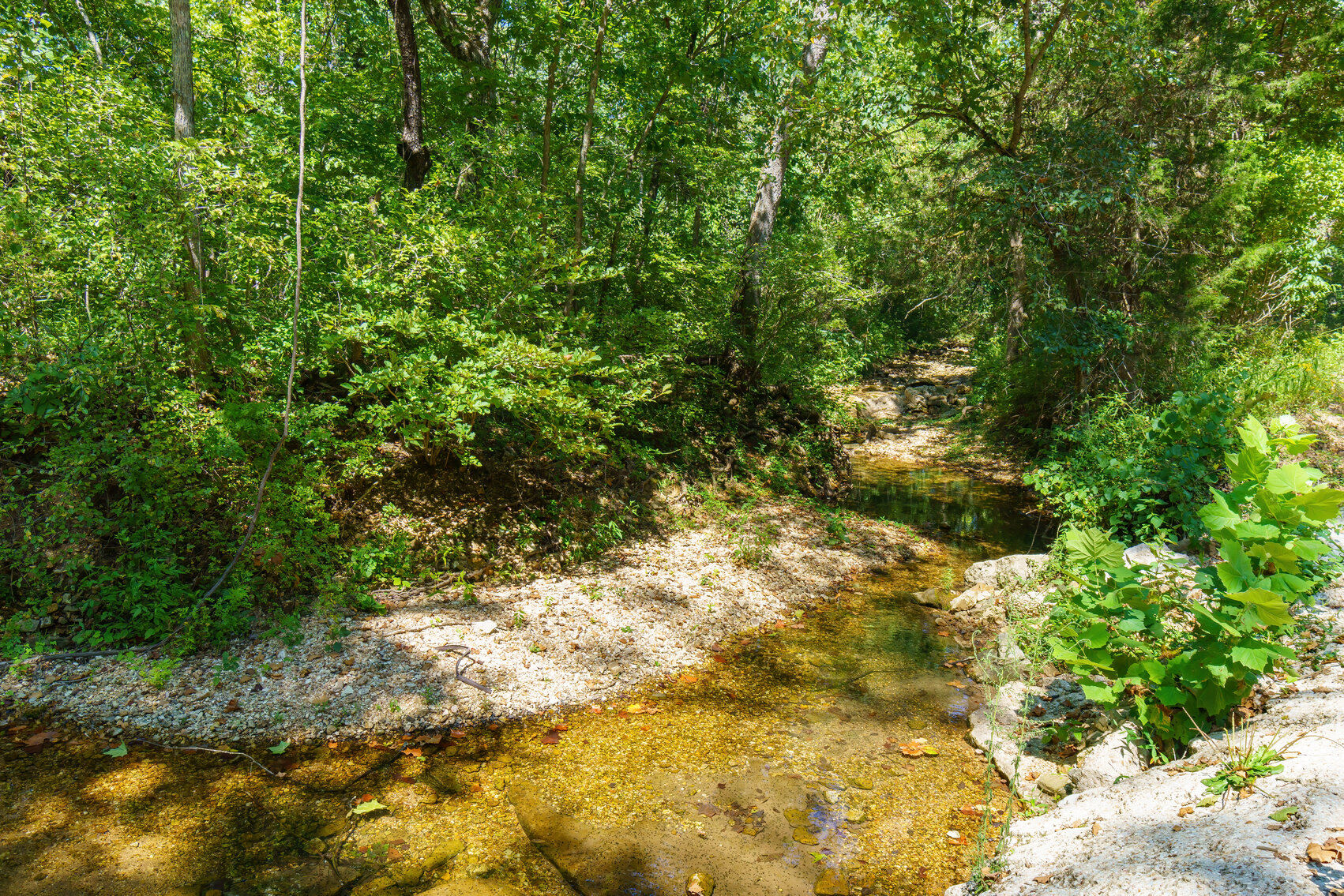 Image for Uhlmann Land Auction