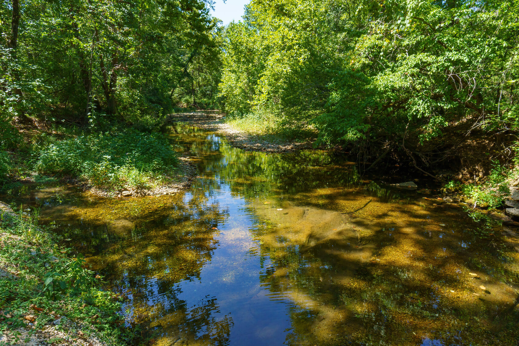 Image for Uhlmann Land Auction