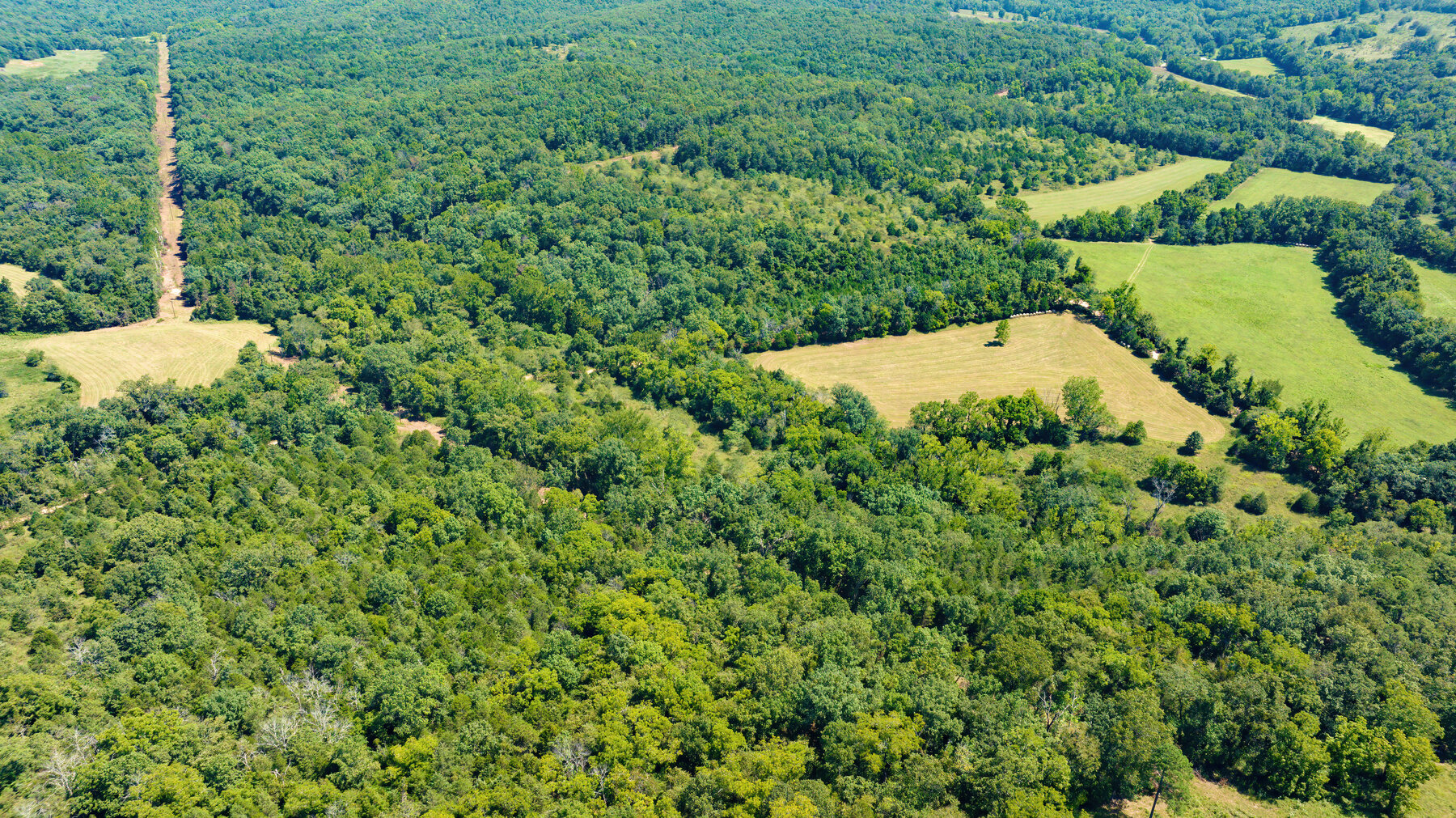 Image for Uhlmann Land Auction