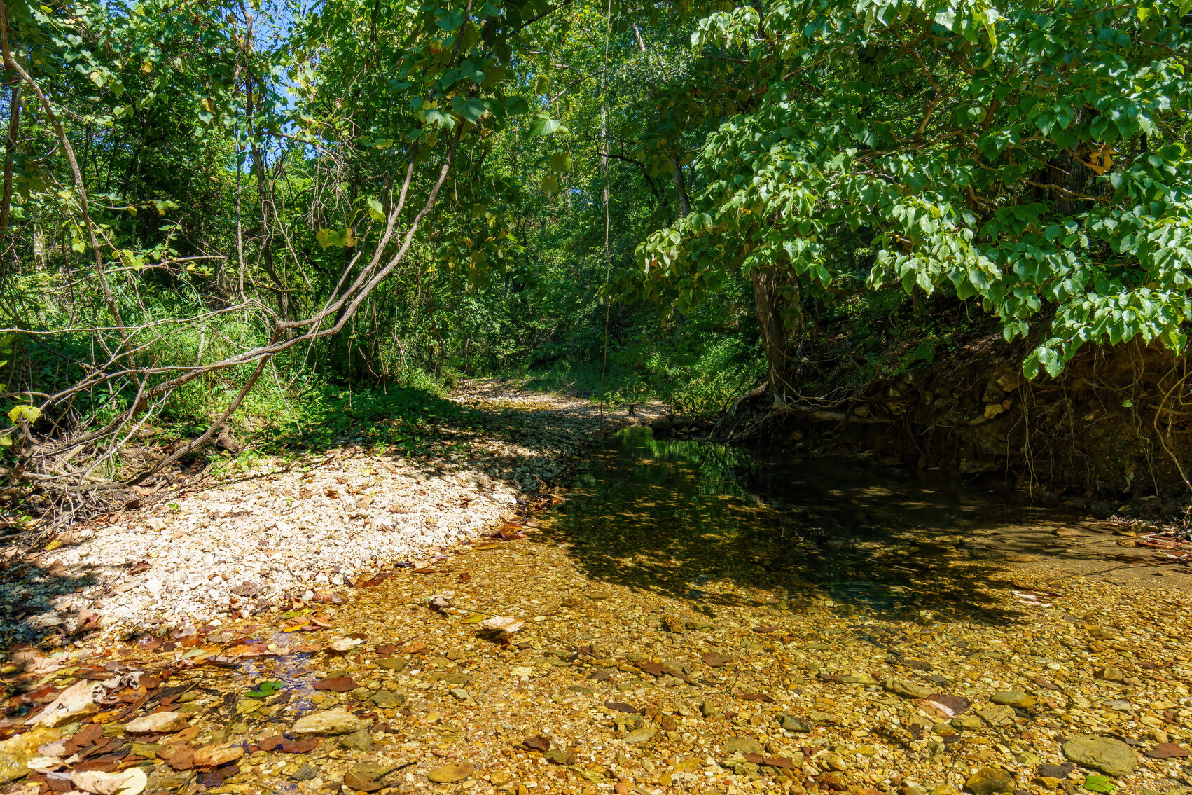 Image for Uhlmann Land Auction