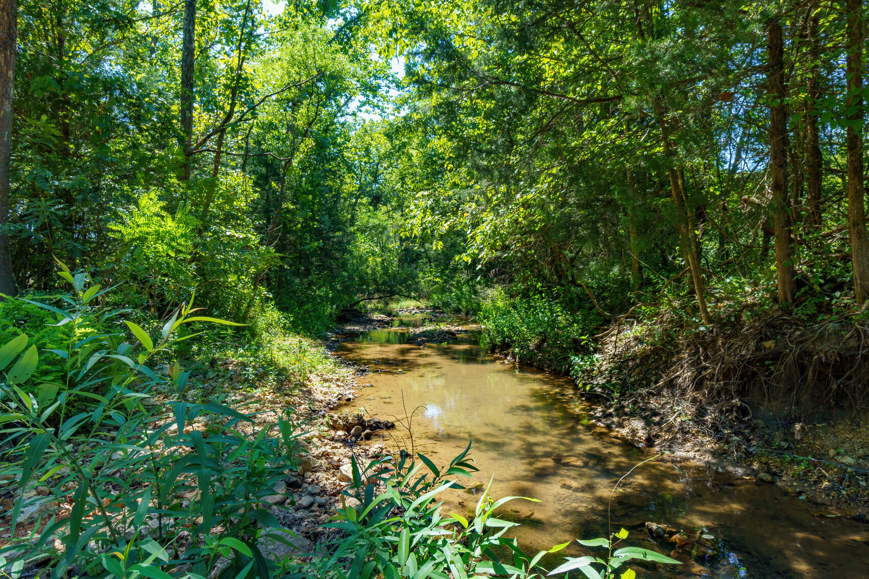 Image for Uhlmann Land Auction