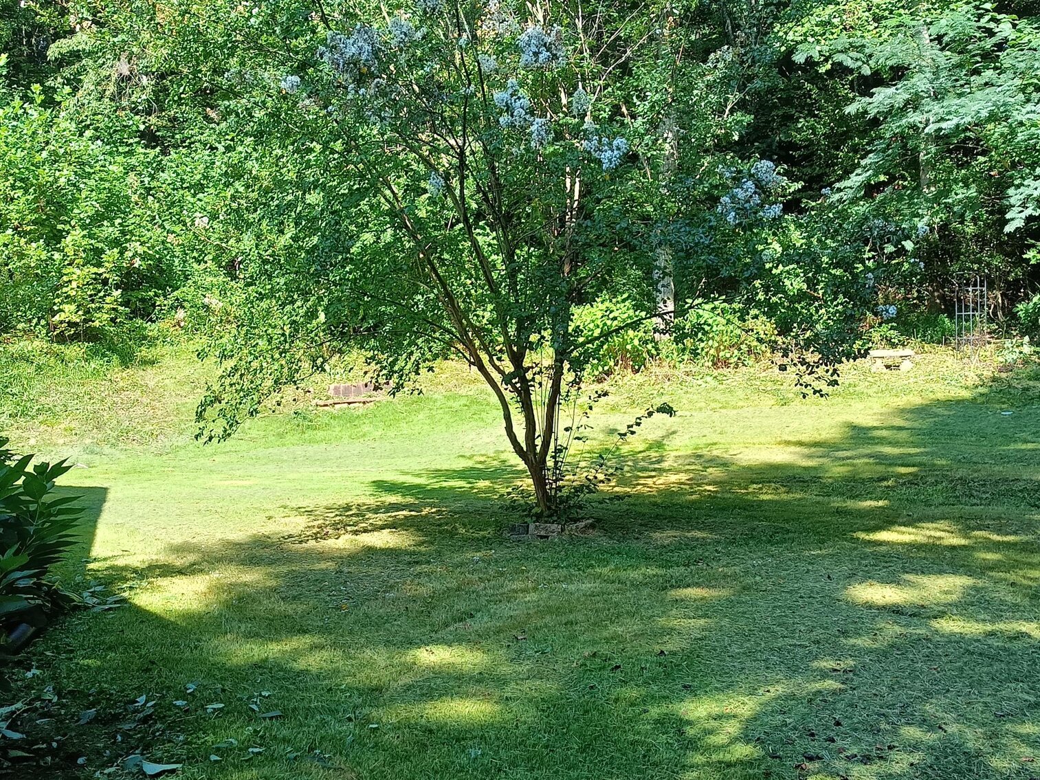 Image for Commissioner's Sale - 173 Sugar Pine Trail, Mt. Airy, NC