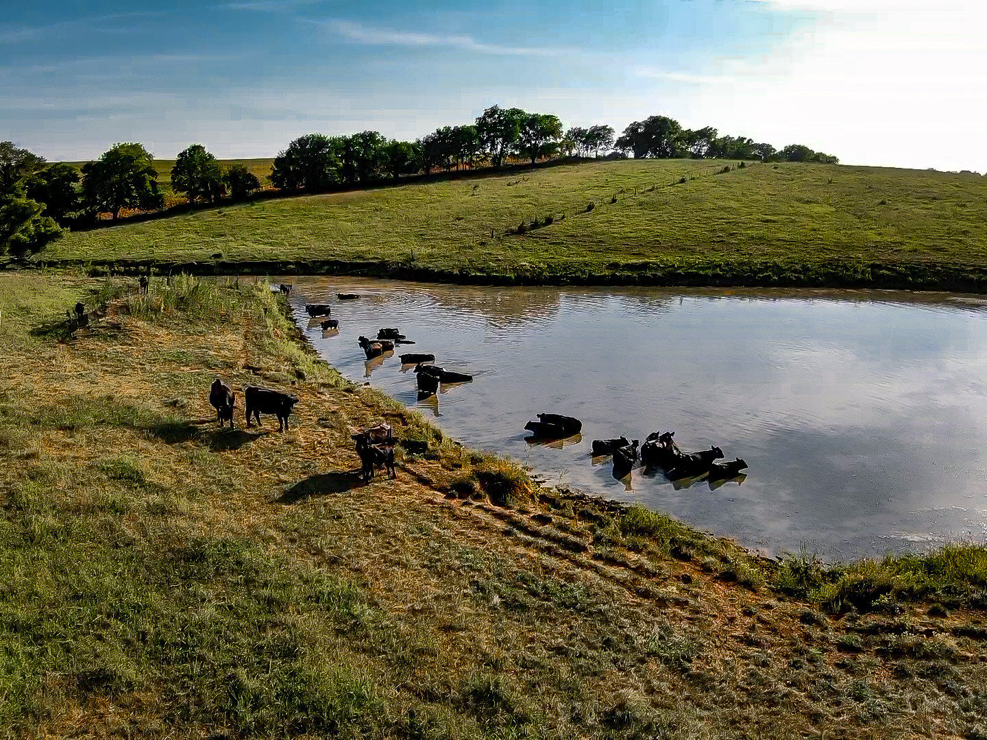 Image for Absolute Pawnee County Rangeland Auction by the Schaardt Auction Team with Burrows Tracts Real Estate