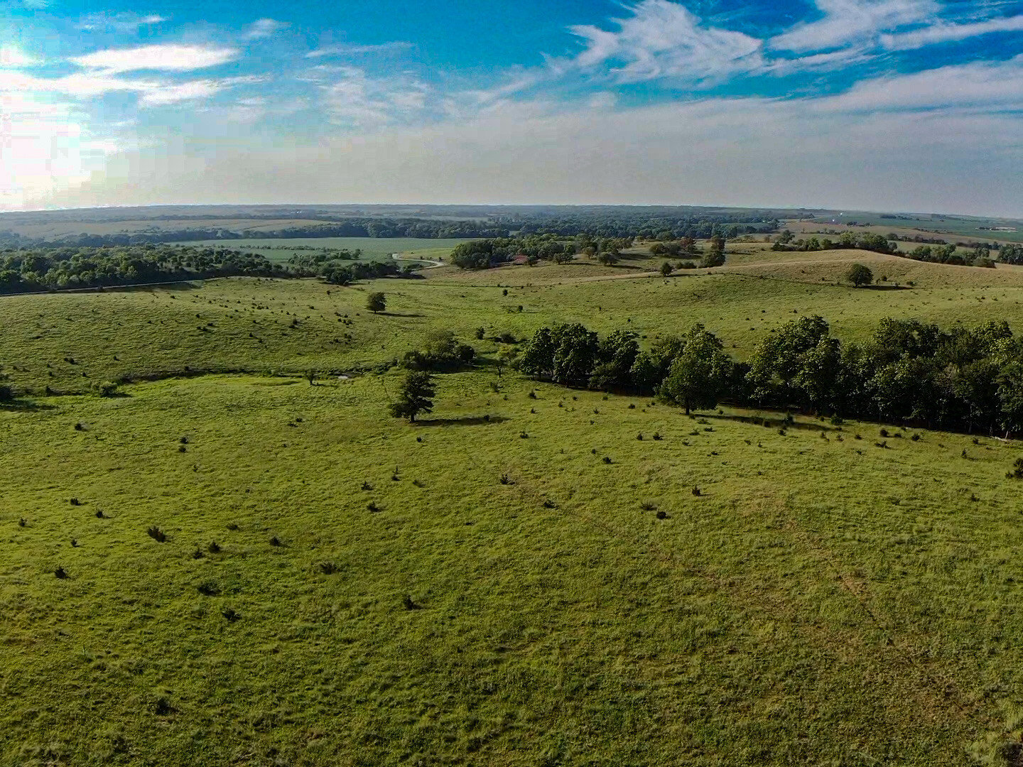 Image for Absolute Pawnee County Rangeland Auction by the Schaardt Auction Team with Burrows Tracts Real Estate