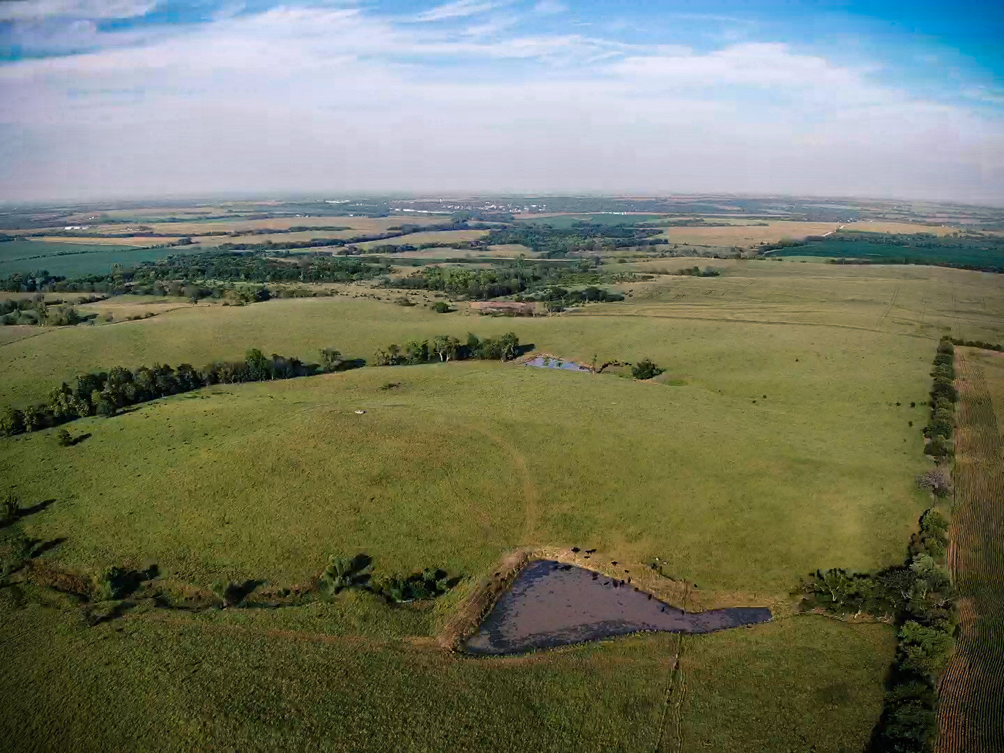 Image for Absolute Pawnee County Rangeland Auction by the Schaardt Auction Team with Burrows Tracts Real Estate