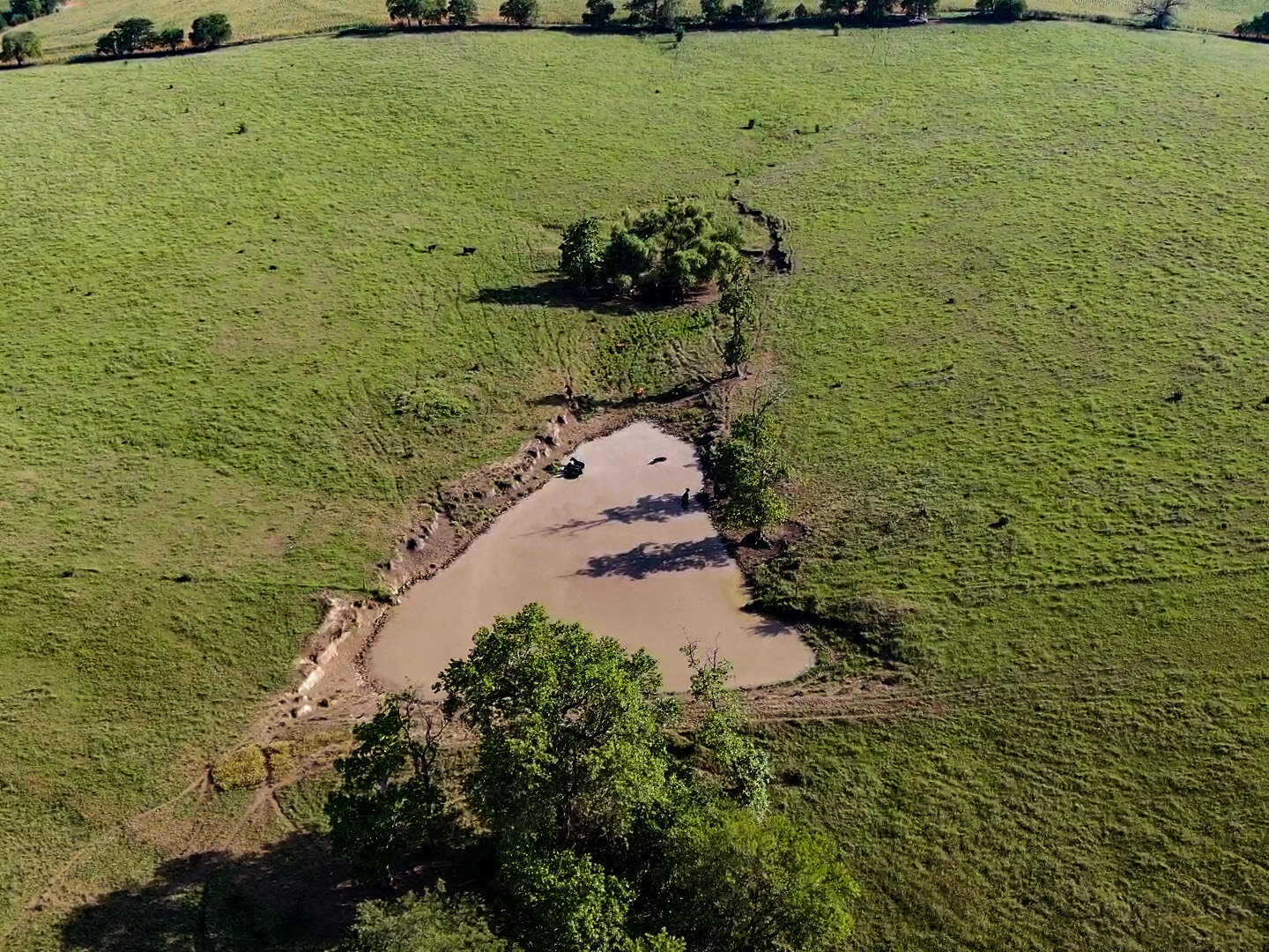 Image for Absolute Pawnee County Rangeland Auction by the Schaardt Auction Team with Burrows Tracts Real Estate