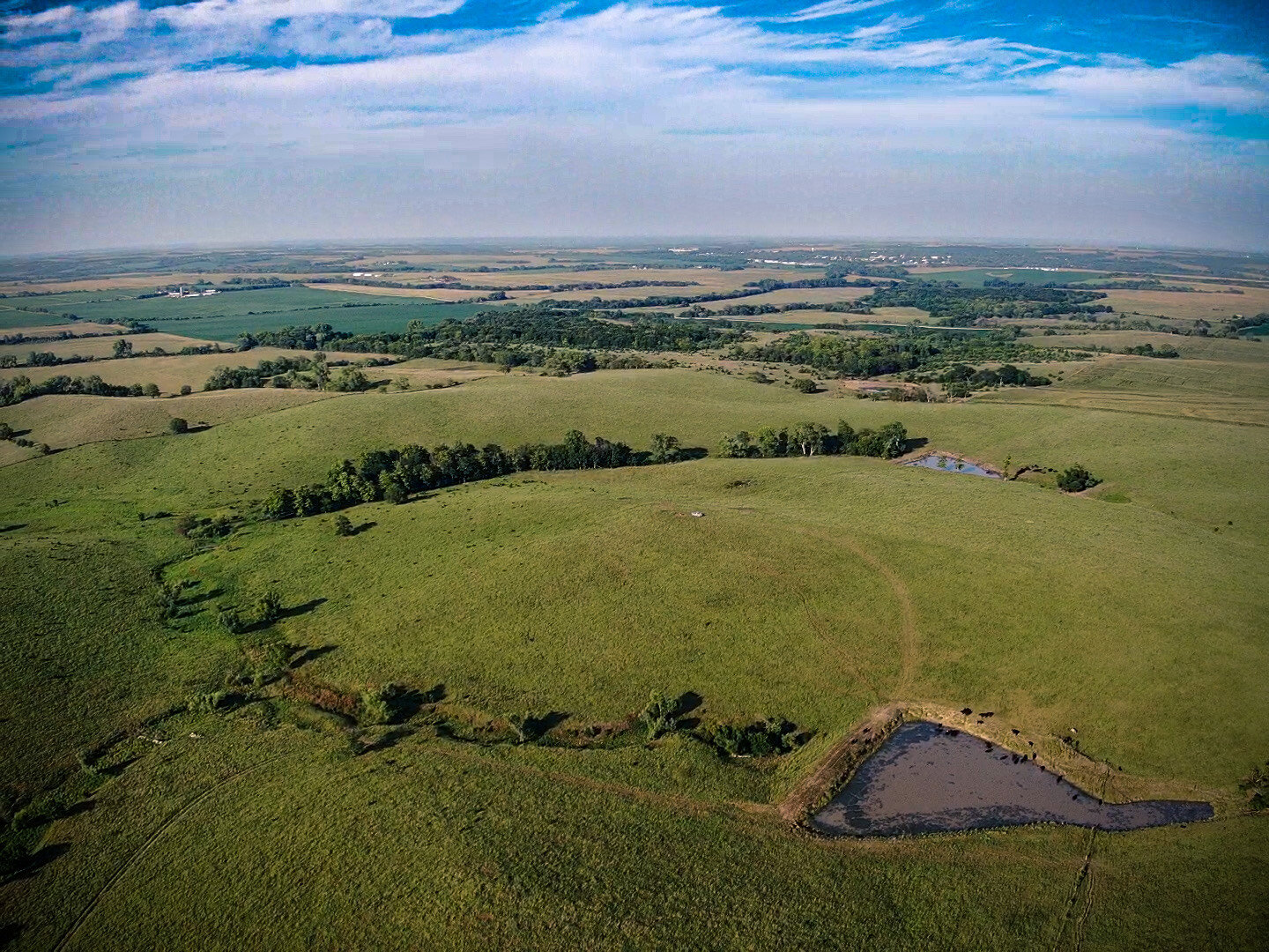 Image for Absolute Pawnee County Rangeland Auction by the Schaardt Auction Team with Burrows Tracts Real Estate