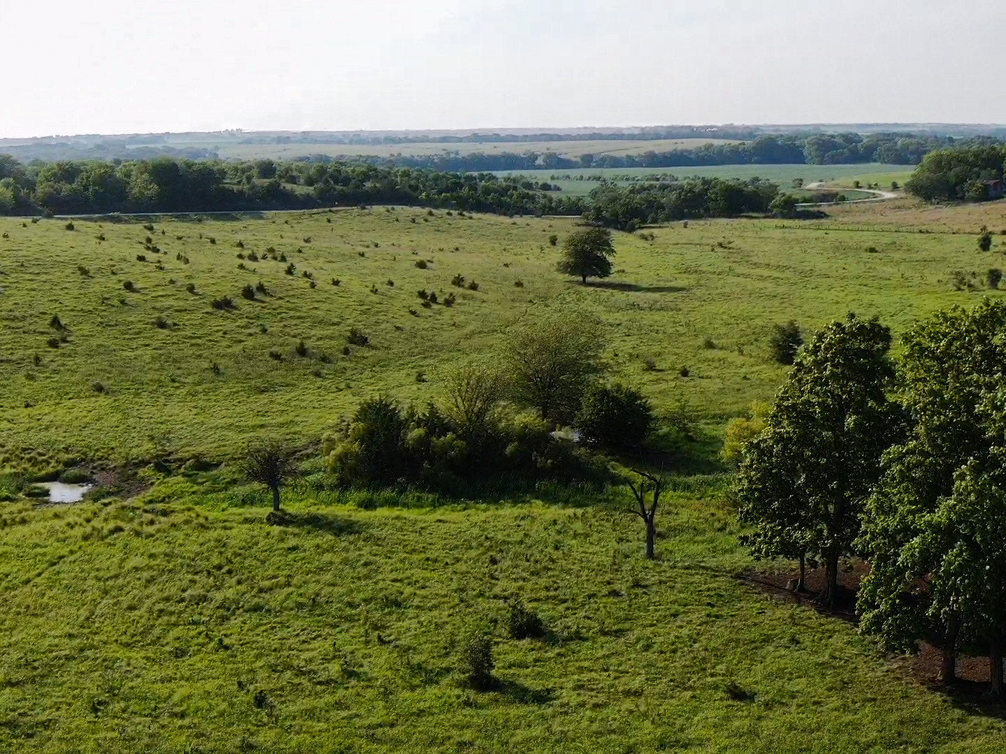 Image for Absolute Pawnee County Rangeland Auction by the Schaardt Auction Team with Burrows Tracts Real Estate