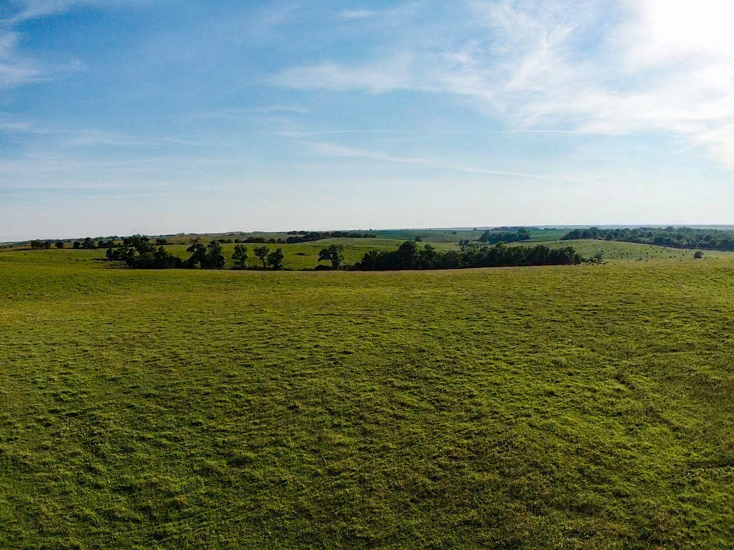 Image for Absolute Pawnee County Rangeland Auction by the Schaardt Auction Team with Burrows Tracts Real Estate