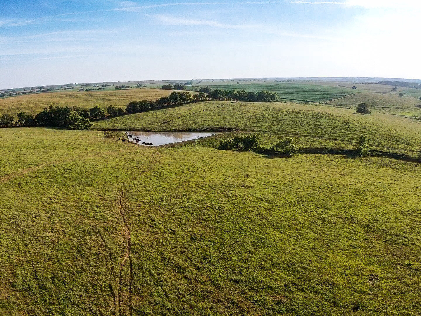 Image for Absolute Pawnee County Rangeland Auction by the Schaardt Auction Team with Burrows Tracts Real Estate