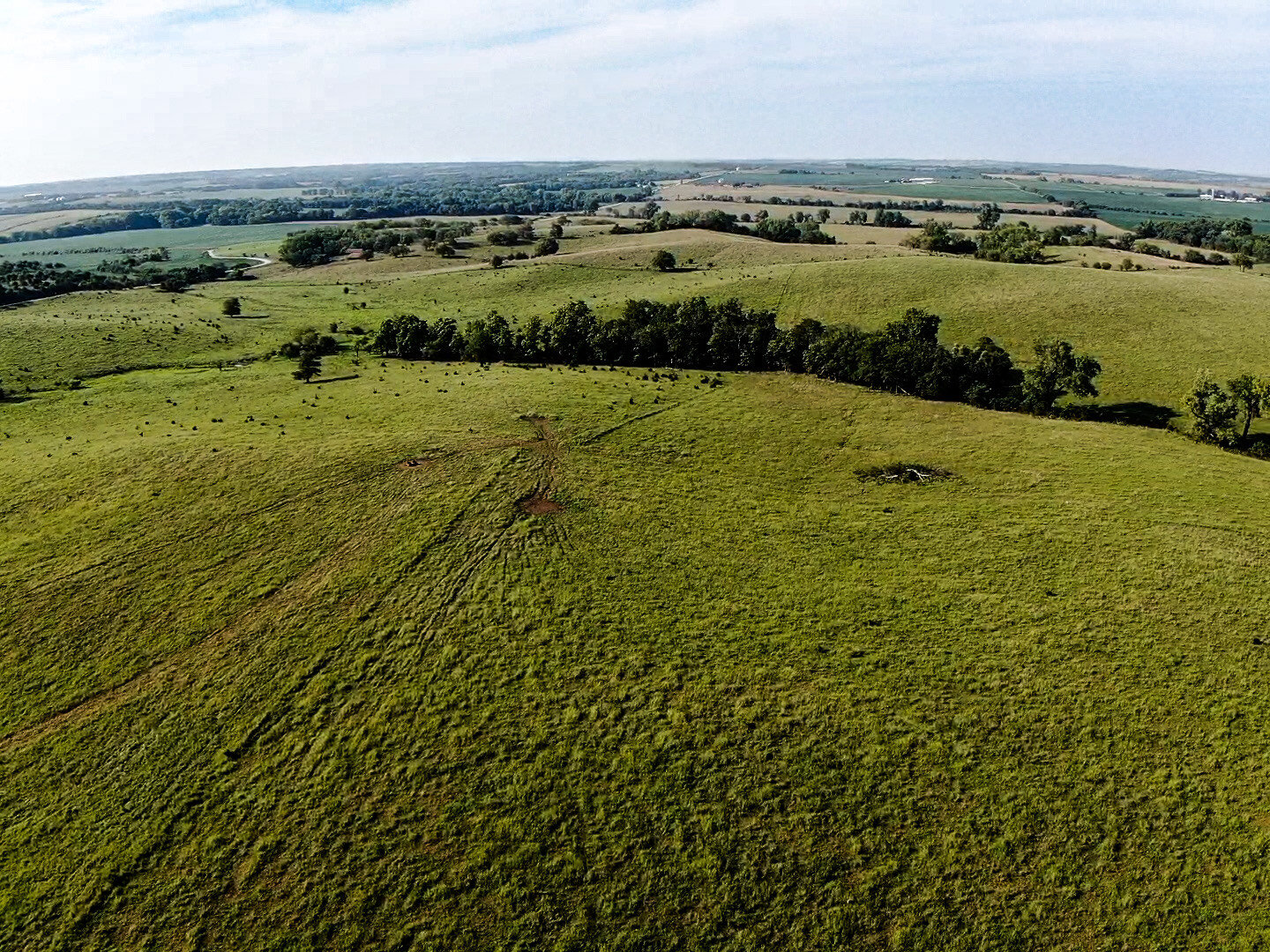 Image for Absolute Pawnee County Rangeland Auction by the Schaardt Auction Team with Burrows Tracts Real Estate