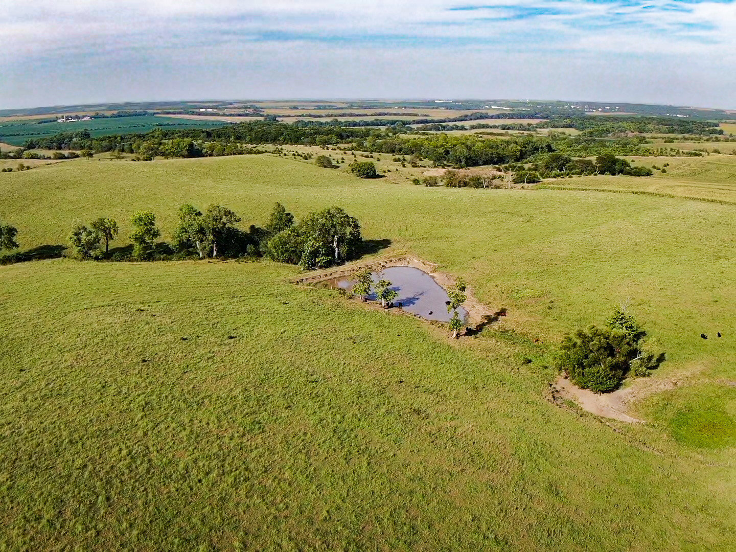Image for Absolute Pawnee County Rangeland Auction by the Schaardt Auction Team with Burrows Tracts Real Estate