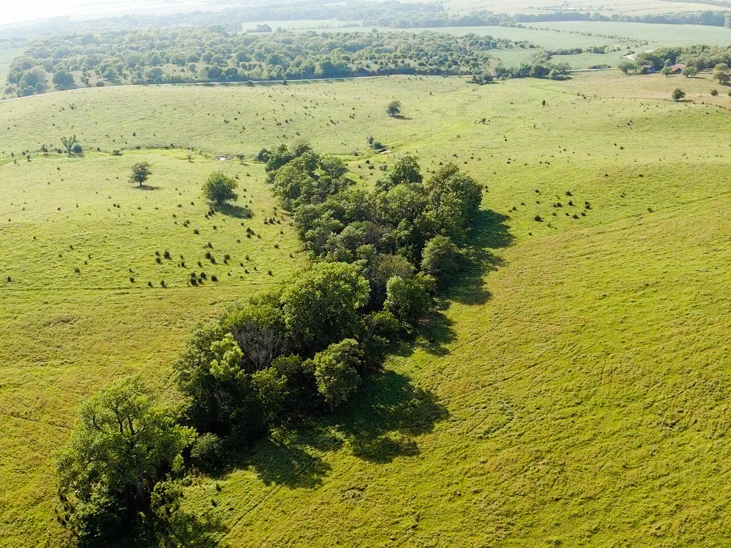 Image for Absolute Pawnee County Rangeland Auction by the Schaardt Auction Team with Burrows Tracts Real Estate