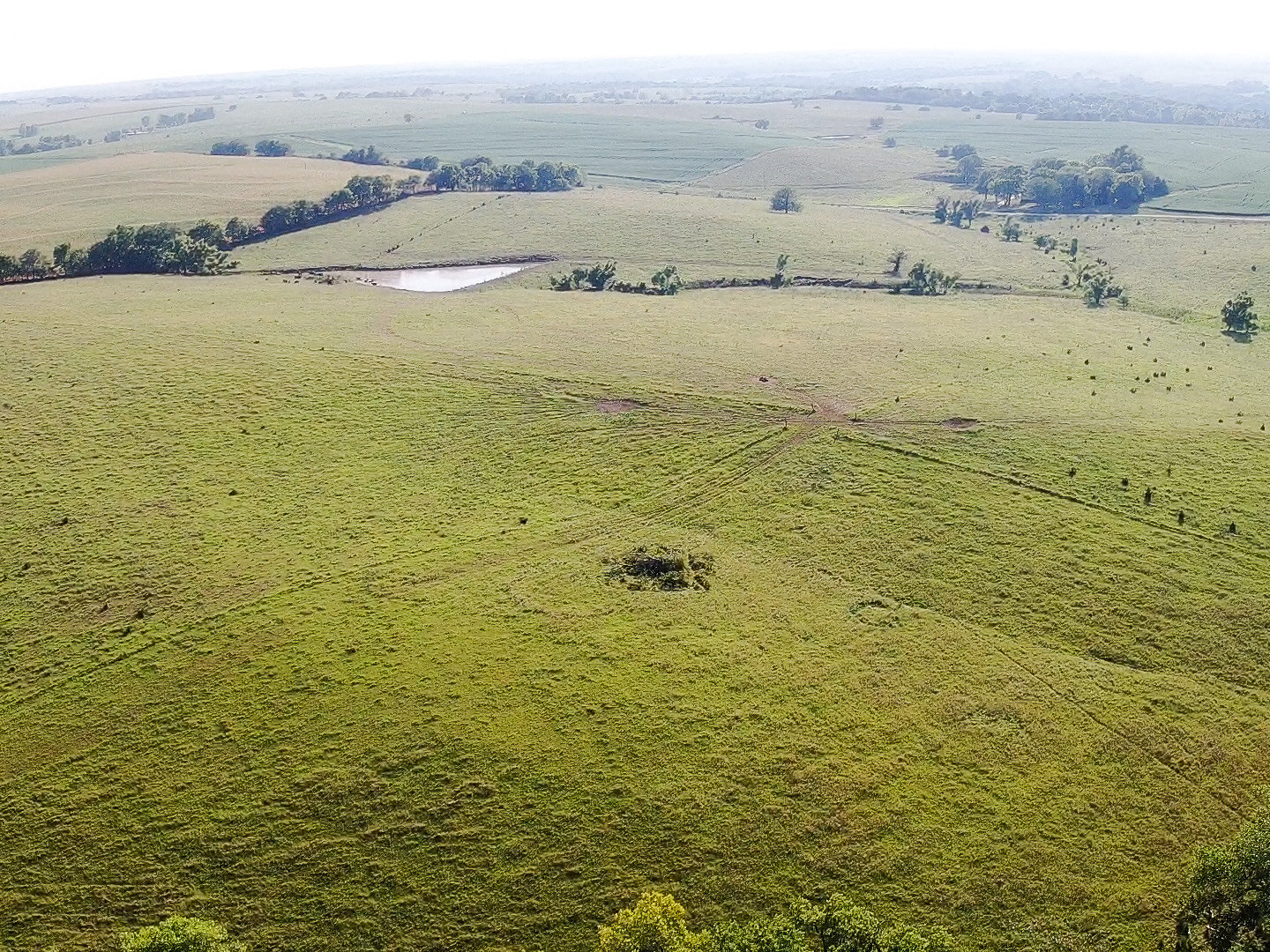 Image for Absolute Pawnee County Rangeland Auction by the Schaardt Auction Team with Burrows Tracts Real Estate