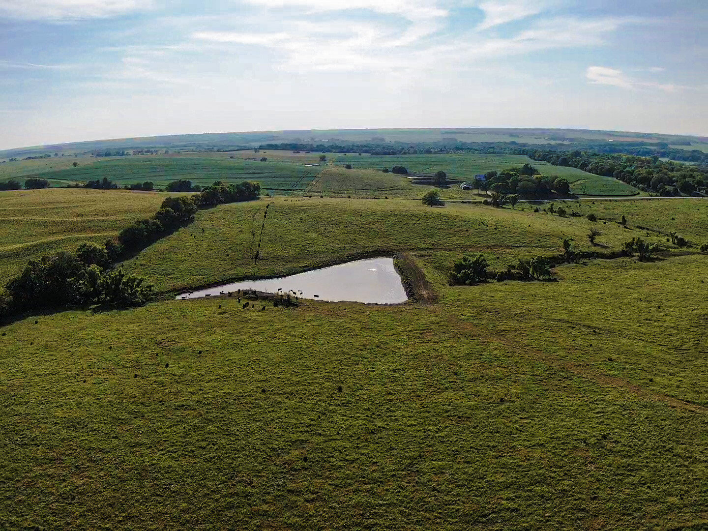 Image for Absolute Pawnee County Rangeland Auction by the Schaardt Auction Team with Burrows Tracts Real Estate