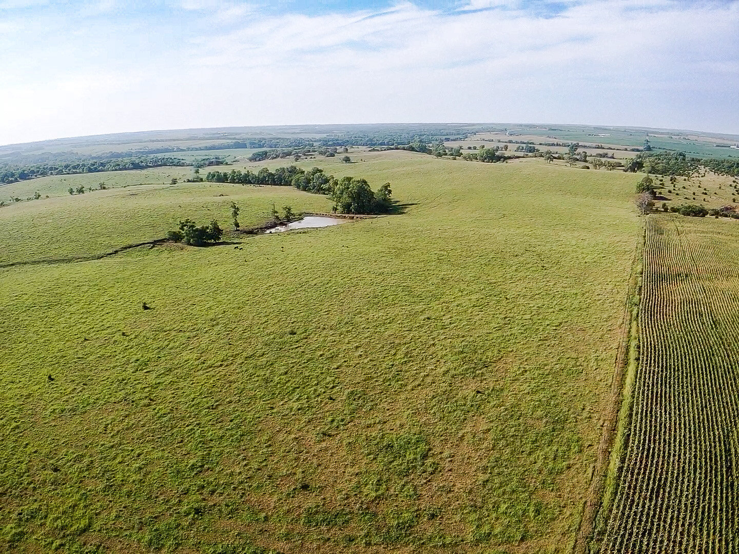 Image for Absolute Pawnee County Rangeland Auction by the Schaardt Auction Team with Burrows Tracts Real Estate