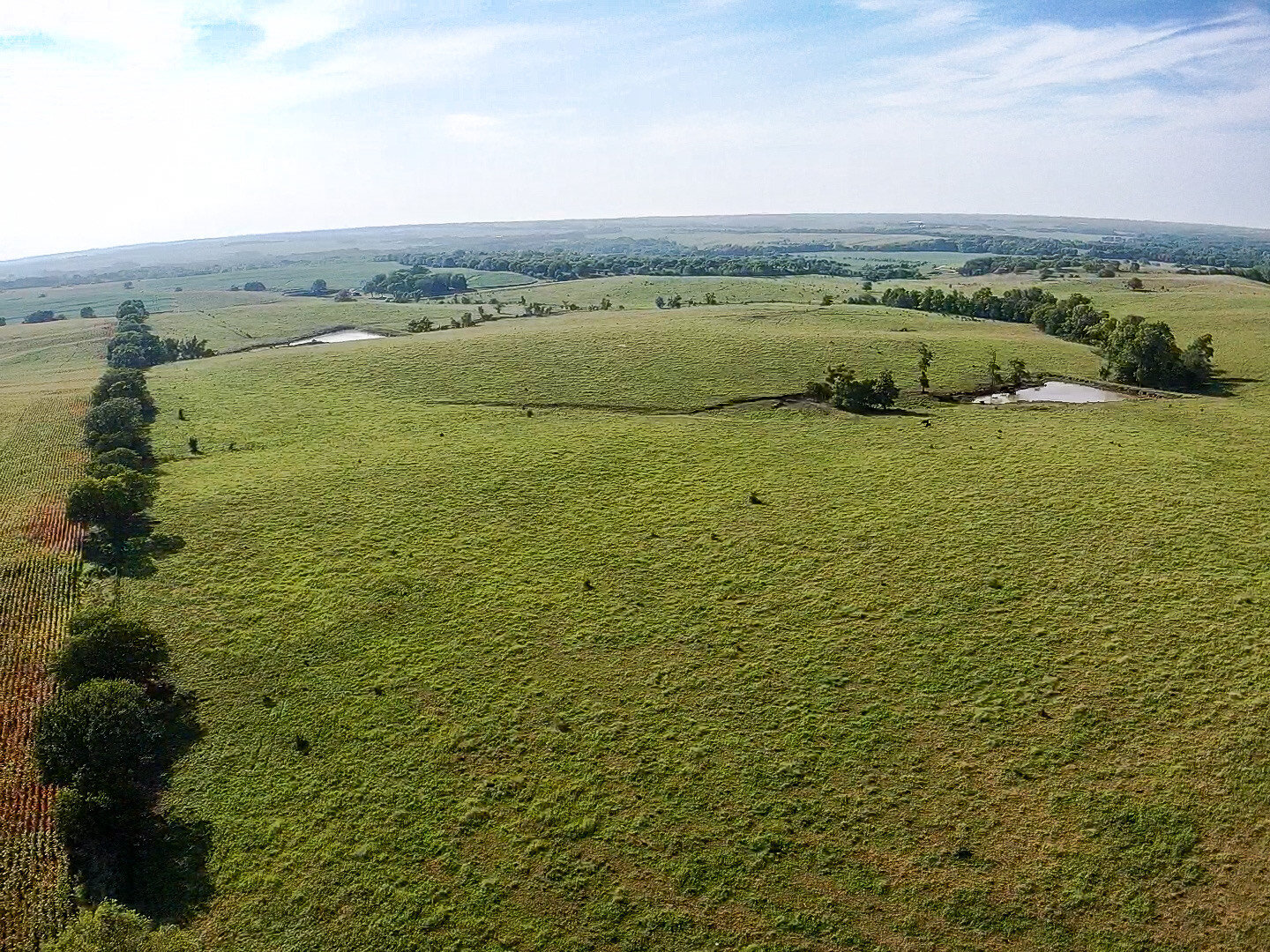 Image for Absolute Pawnee County Rangeland Auction by the Schaardt Auction Team with Burrows Tracts Real Estate