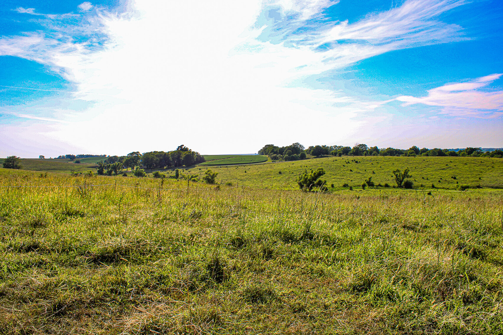 Image for Absolute Pawnee County Rangeland Auction by the Schaardt Auction Team with Burrows Tracts Real Estate