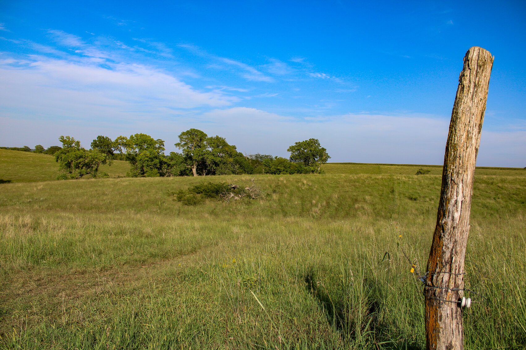 Image for Absolute Pawnee County Rangeland Auction by the Schaardt Auction Team with Burrows Tracts Real Estate