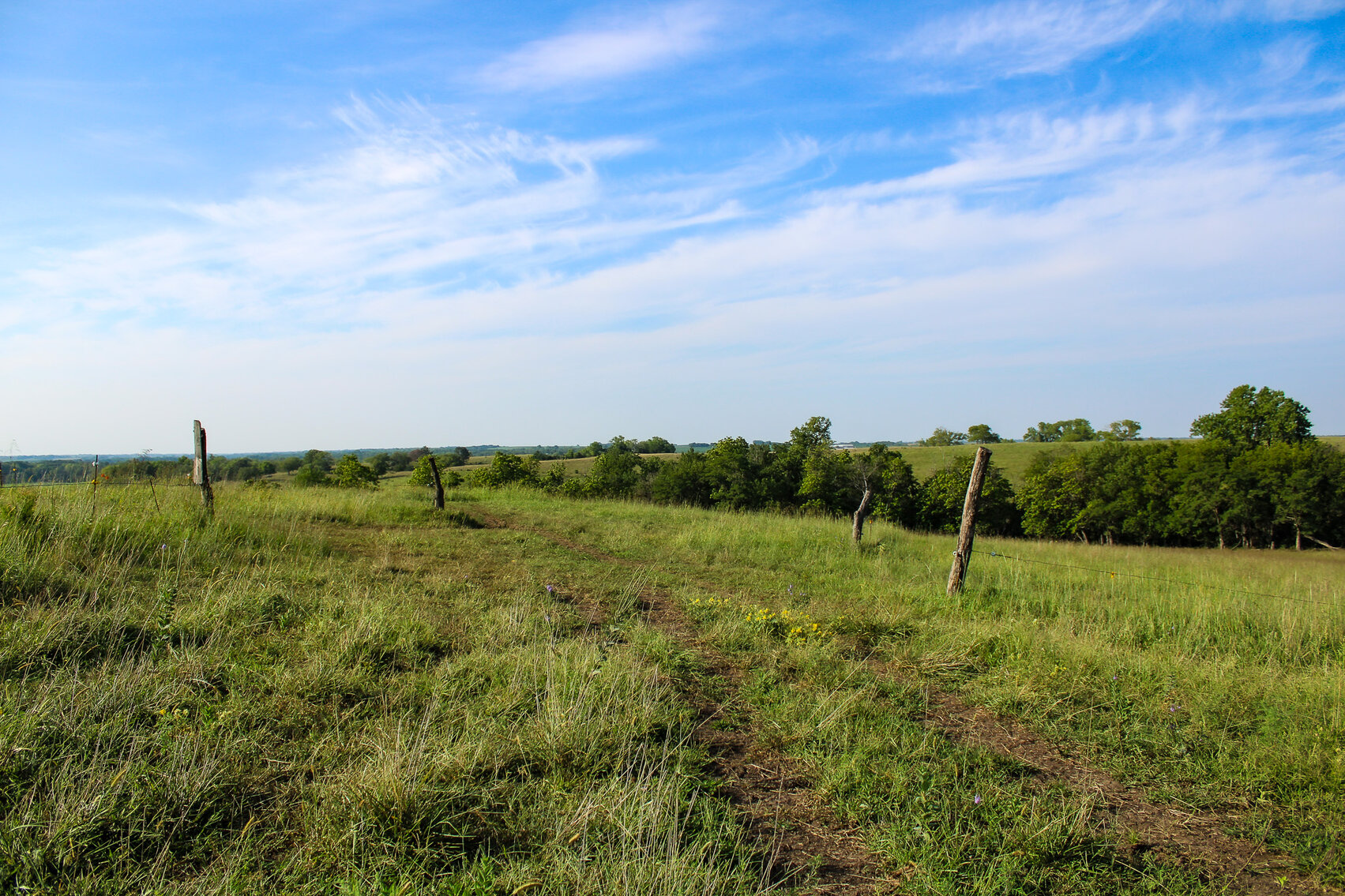 Image for Absolute Pawnee County Rangeland Auction by the Schaardt Auction Team with Burrows Tracts Real Estate