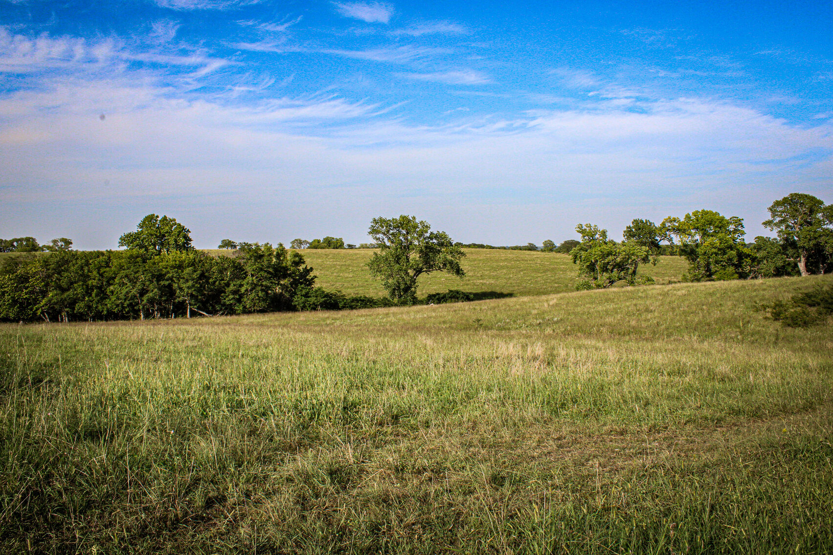 Image for Absolute Pawnee County Rangeland Auction by the Schaardt Auction Team with Burrows Tracts Real Estate