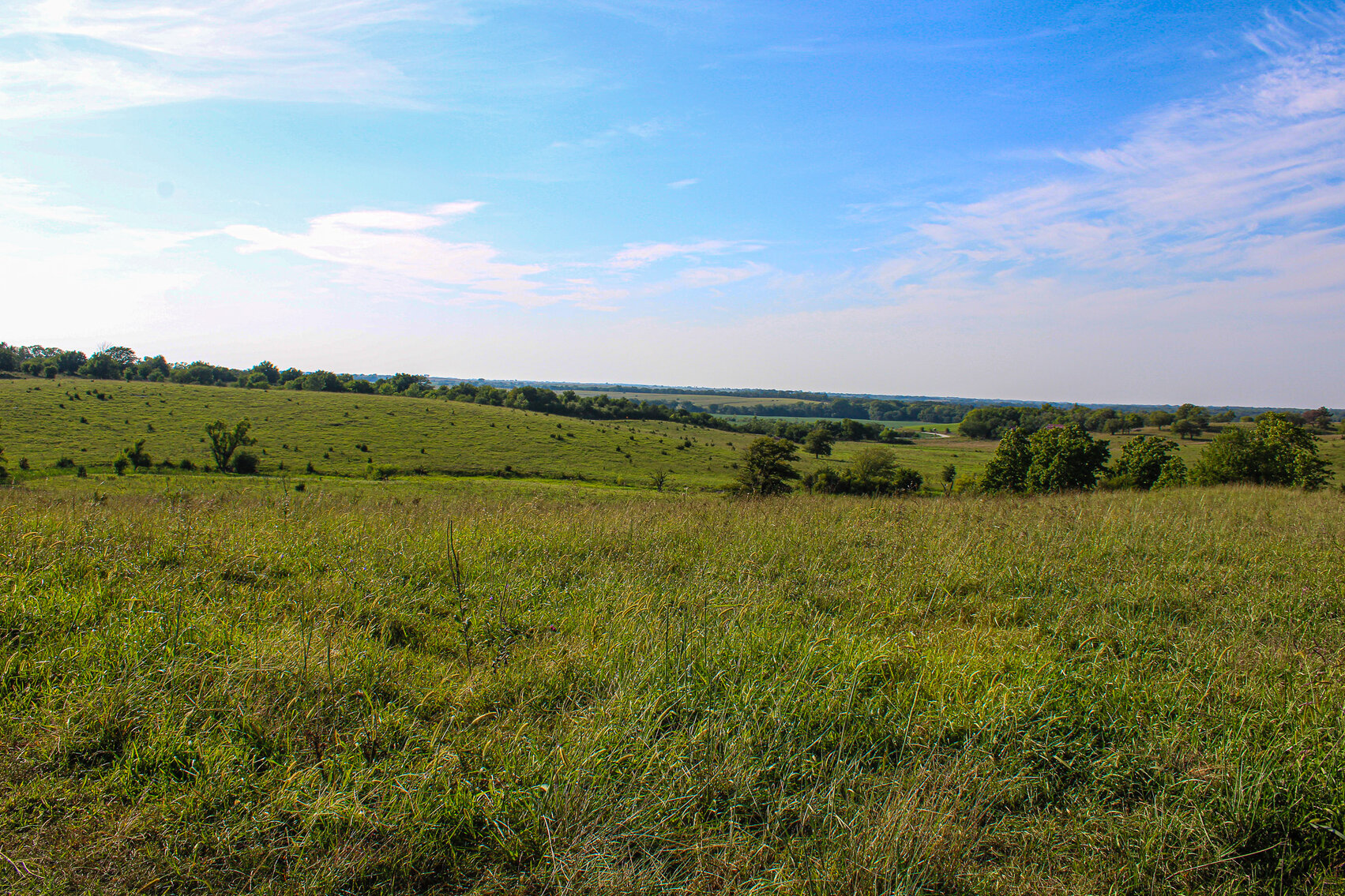 Image for Absolute Pawnee County Rangeland Auction by the Schaardt Auction Team with Burrows Tracts Real Estate