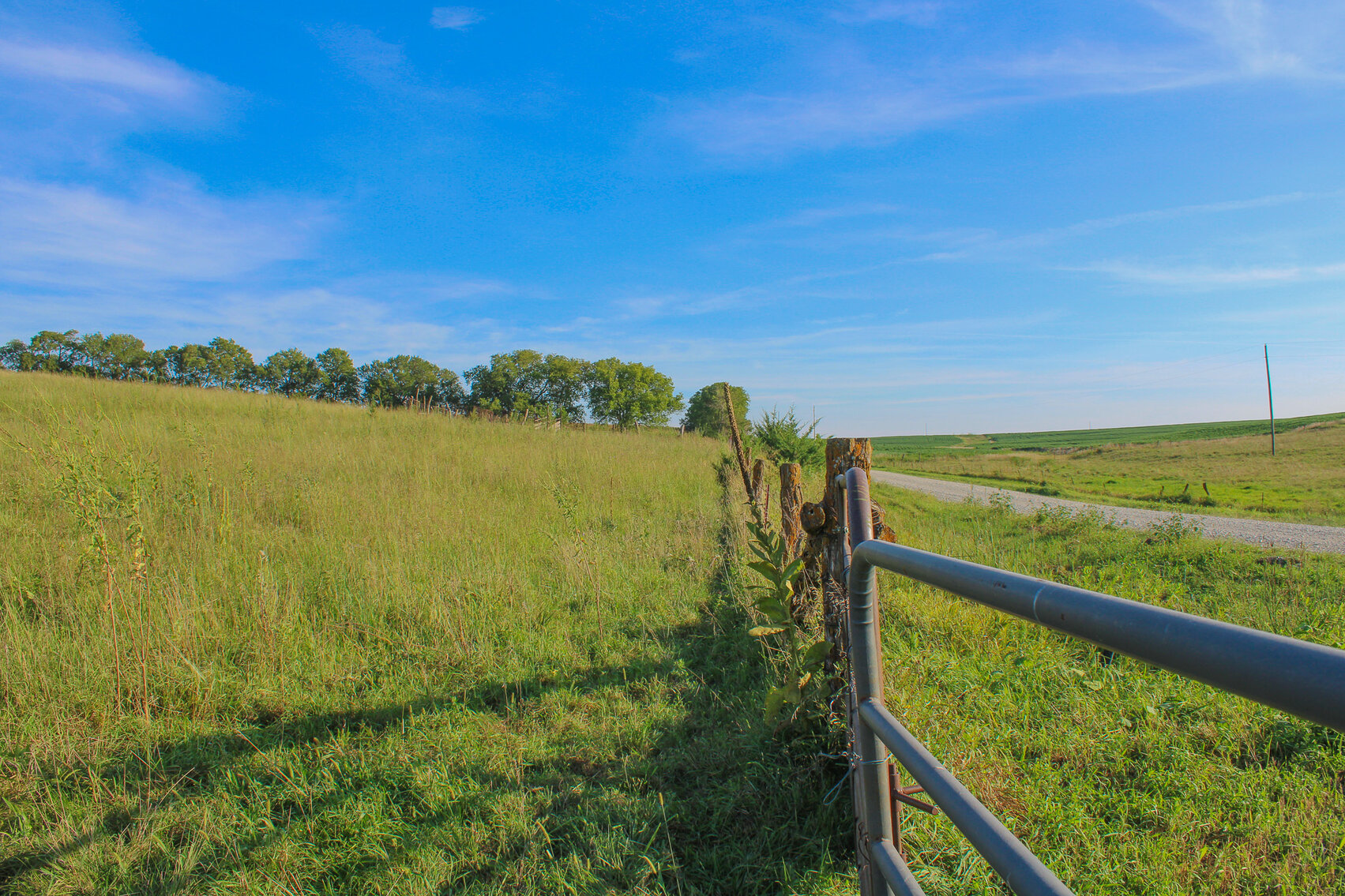 Image for Absolute Pawnee County Rangeland Auction by the Schaardt Auction Team with Burrows Tracts Real Estate