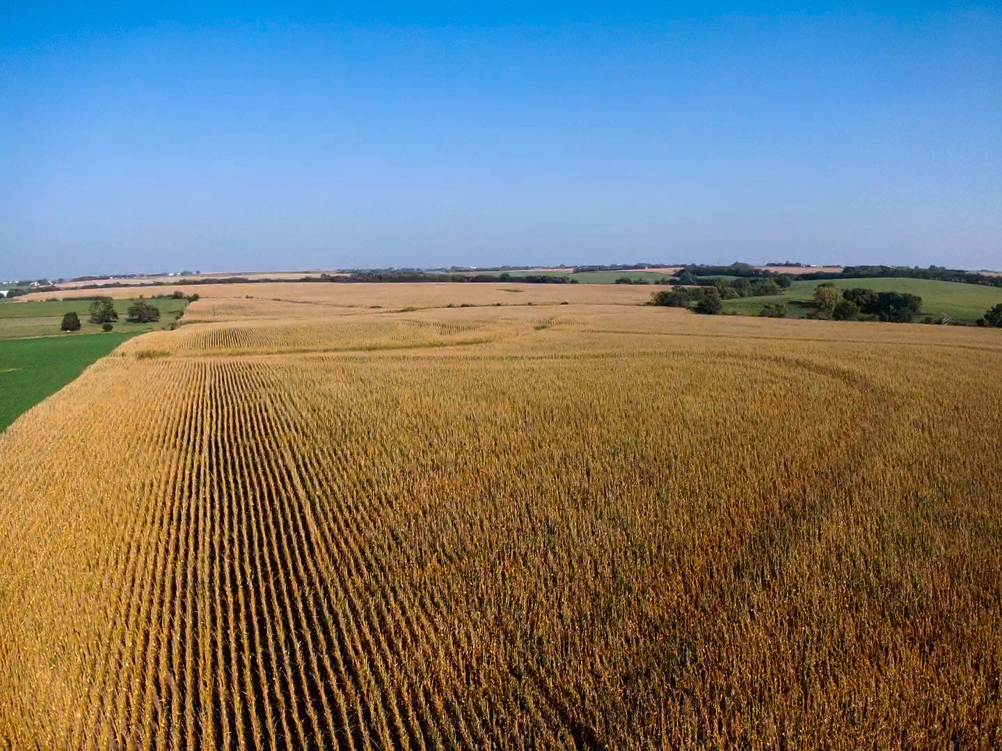 Image for Absolute Gage County Farmland Auction by the Schaardt Auction Team with Burrows Tracts Real Estate