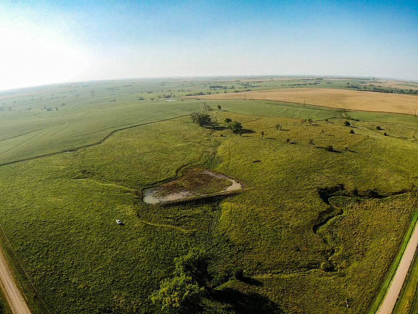 Image for Absolute Gage County Farmland Auction by the Schaardt Auction Team with Burrows Tracts Real Estate
