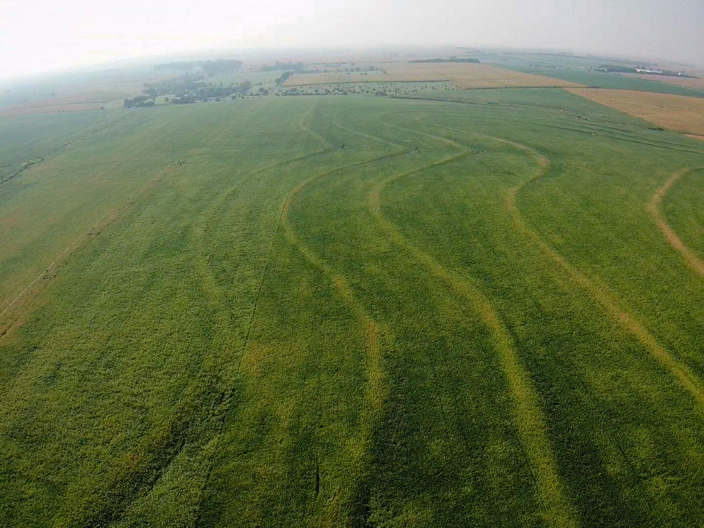 Image for Absolute Gage County Farmland Auction by the Schaardt Auction Team with Burrows Tracts Real Estate