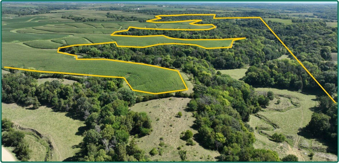 Image for Closed - Jackson Co., IA - 200.00 Ac., m/l (010-2562-03)