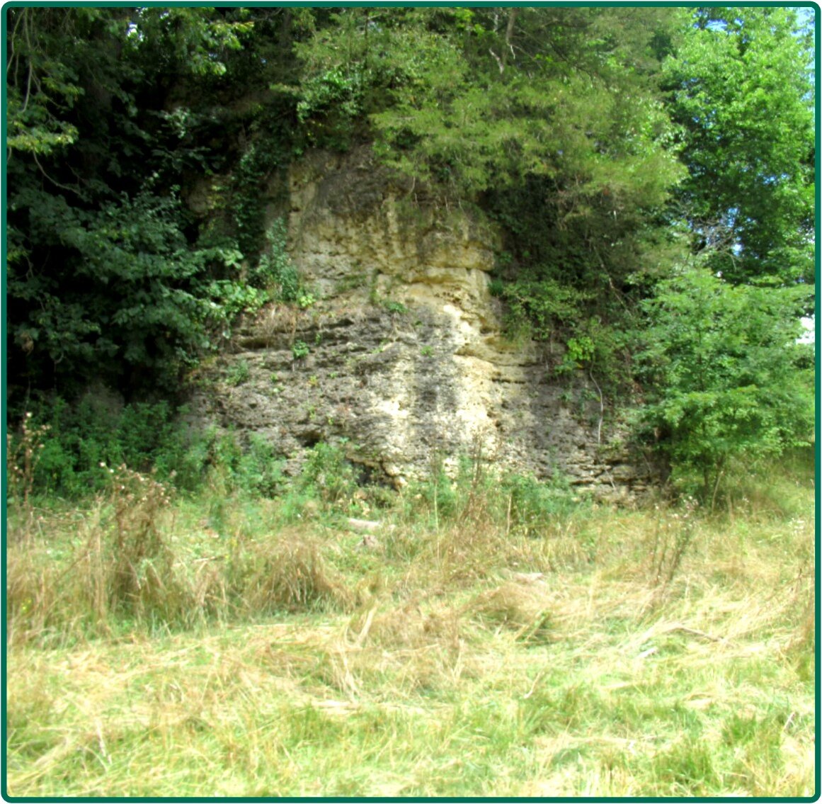 Image for Closed - Jackson Co., IA - 200.00 Ac., m/l (010-2562-03)