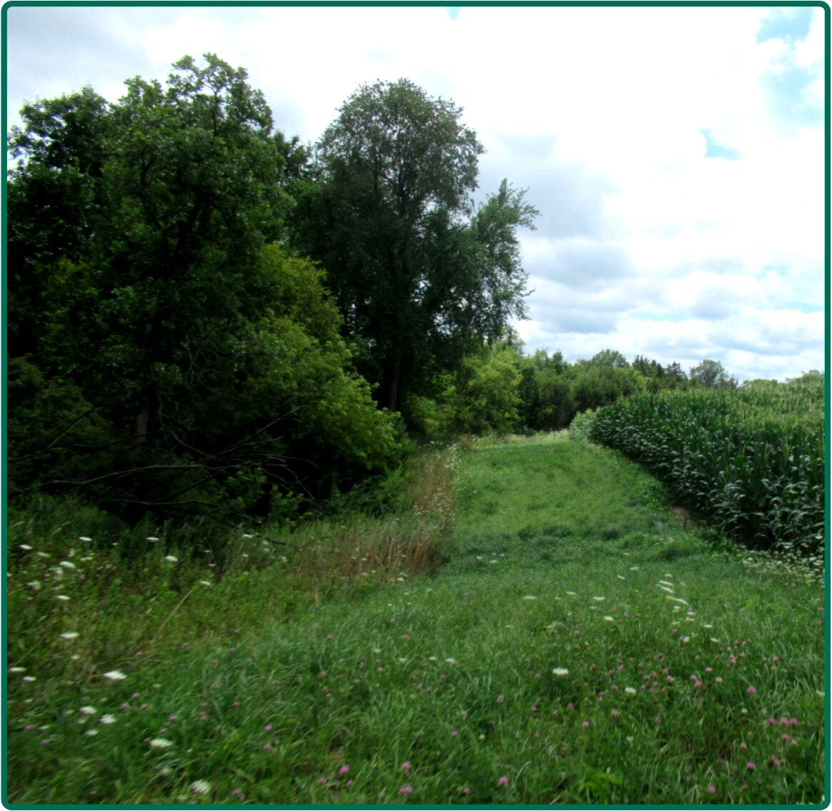 Image for Closed - Jackson Co., IA - 200.00 Ac., m/l (010-2562-03)