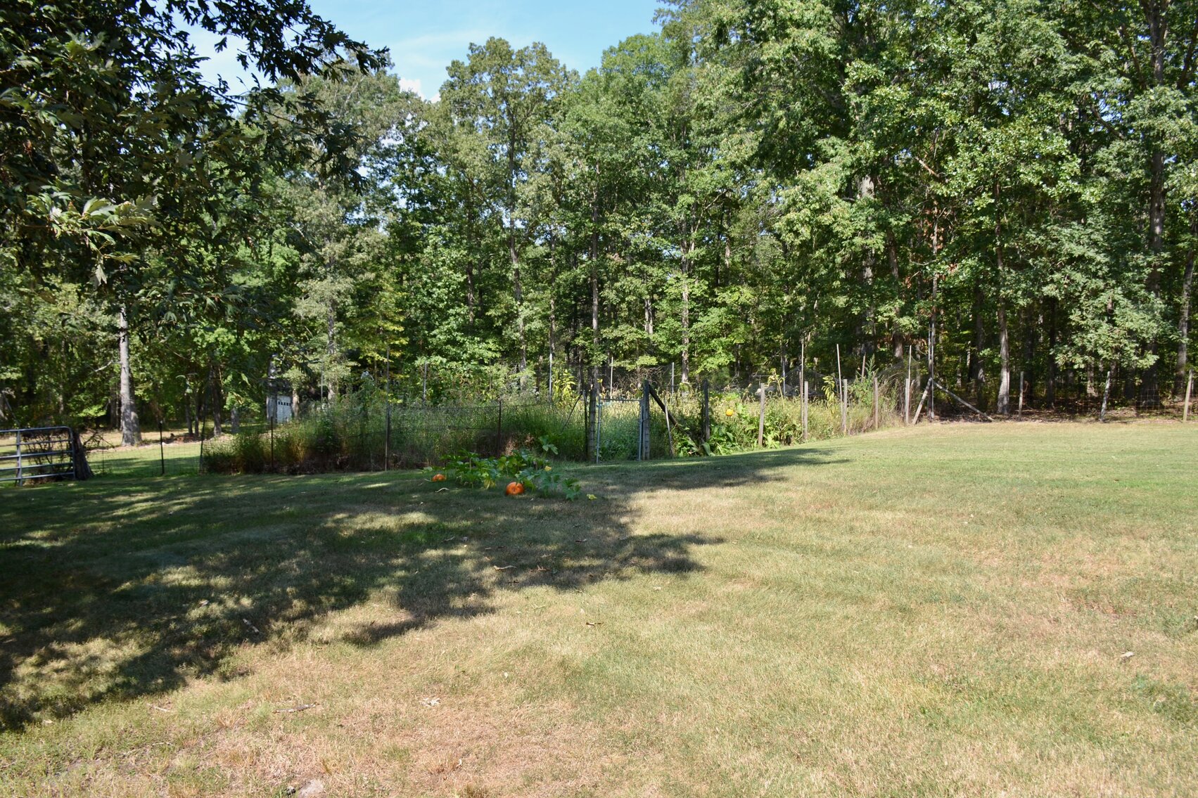 Image for 3 BR/3.5 BA Home w/Barn, Shop & Pond on 10.5 +/- Acres in Fauquier County, VA--SELLS to the HIGHEST BIDDER!!