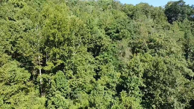 Image for SOLD - Nearly 300 Acres in Fayette County Selling to the Highest Bidder