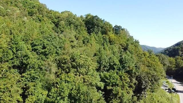 Image for SOLD - Nearly 300 Acres in Fayette County Selling to the Highest Bidder