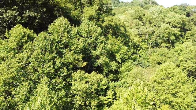 Image for SOLD - Nearly 300 Acres in Fayette County Selling to the Highest Bidder