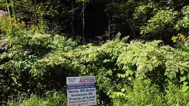 Image for SOLD - Nearly 300 Acres in Fayette County Selling to the Highest Bidder