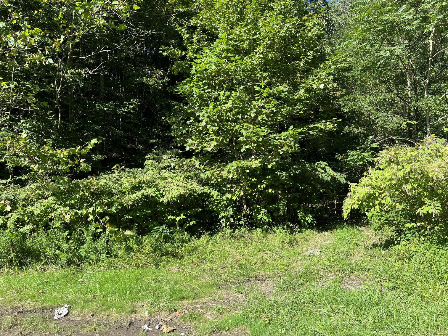 Image for SOLD - Nearly 300 Acres in Fayette County Selling to the Highest Bidder